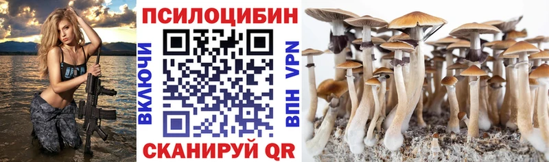 Галлюциногенные грибы Psilocybe Купить Темников